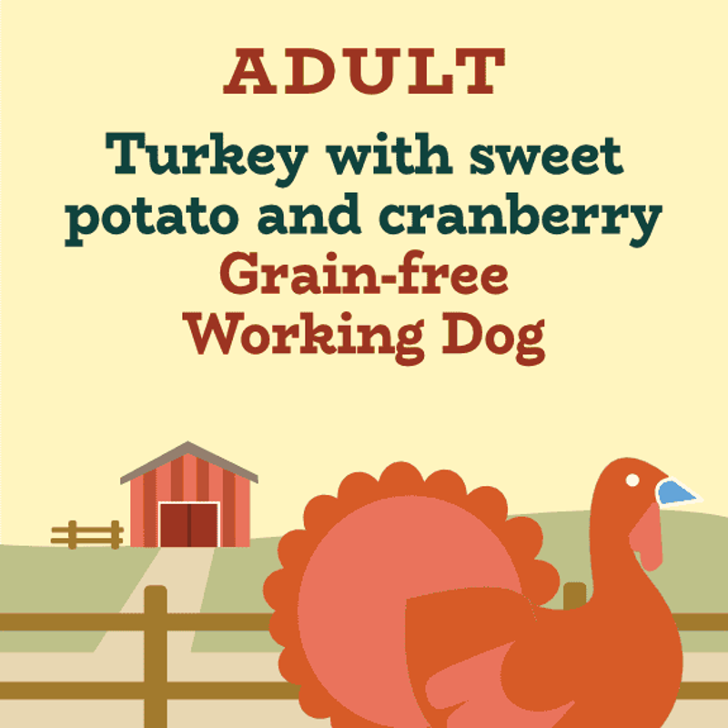 Broadfeed Grain Free Turkey Sweet Potato and Cranberry Dog Food