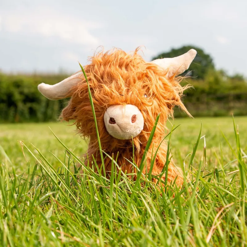 Heritage Fergus Highland Cow-1