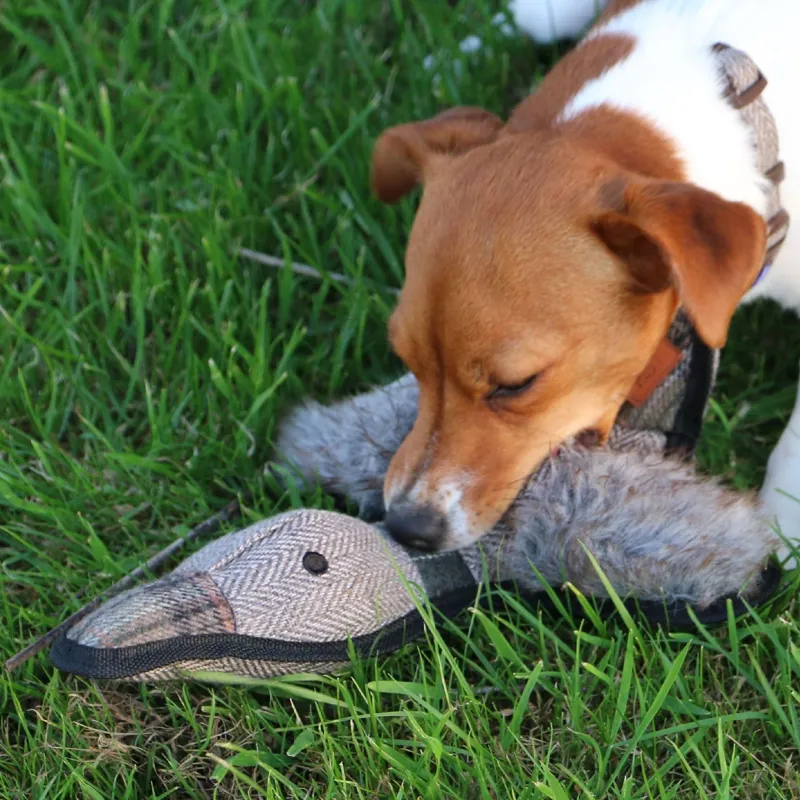 Heritage Tweed Duck-1