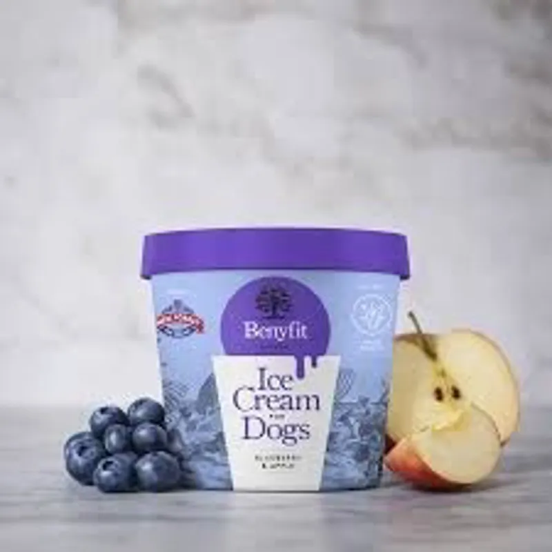 Benyfit Blueberry and Apple Ice Cream for Dogs 140ml in Blue-1