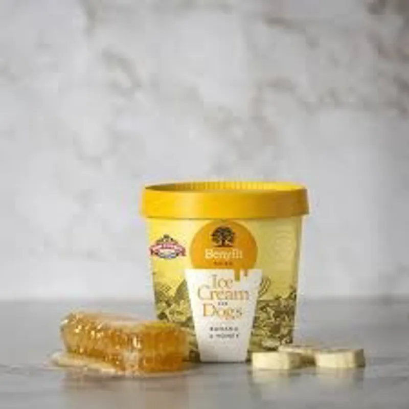Benyfit Banana and Honey Ice Cream for Dogs 140ml in Yellow-1