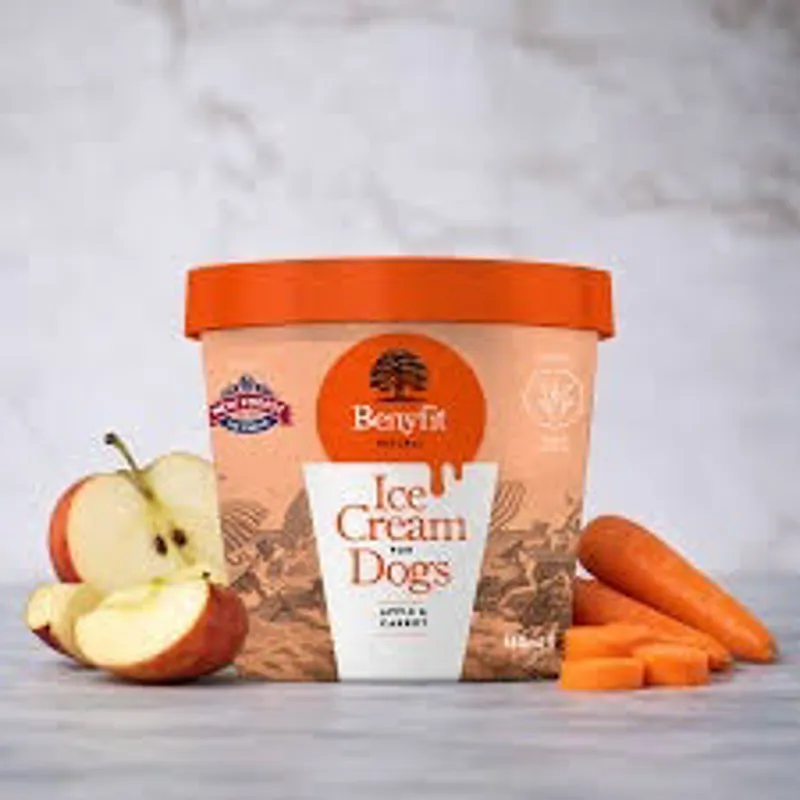 Benyfit Apple and Carrot Ice Cream for Dogs 140ml in Orange-2
