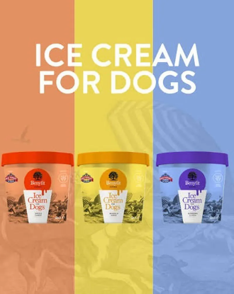 Benyfit Banana and Honey Ice Cream for Dogs 140ml in Yellow-2