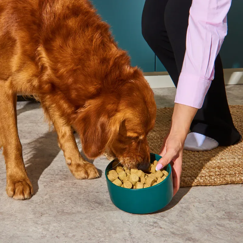 Nutriment Freeze Dried Chicken 225g-8