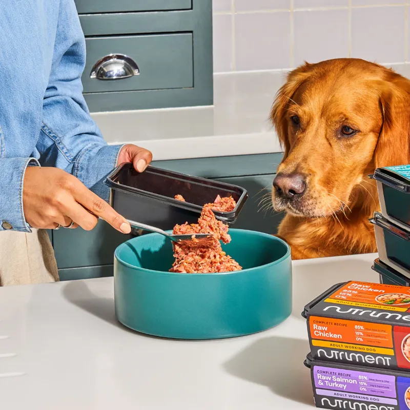 Nutriment Puppy Raw Chicken 500g-5
