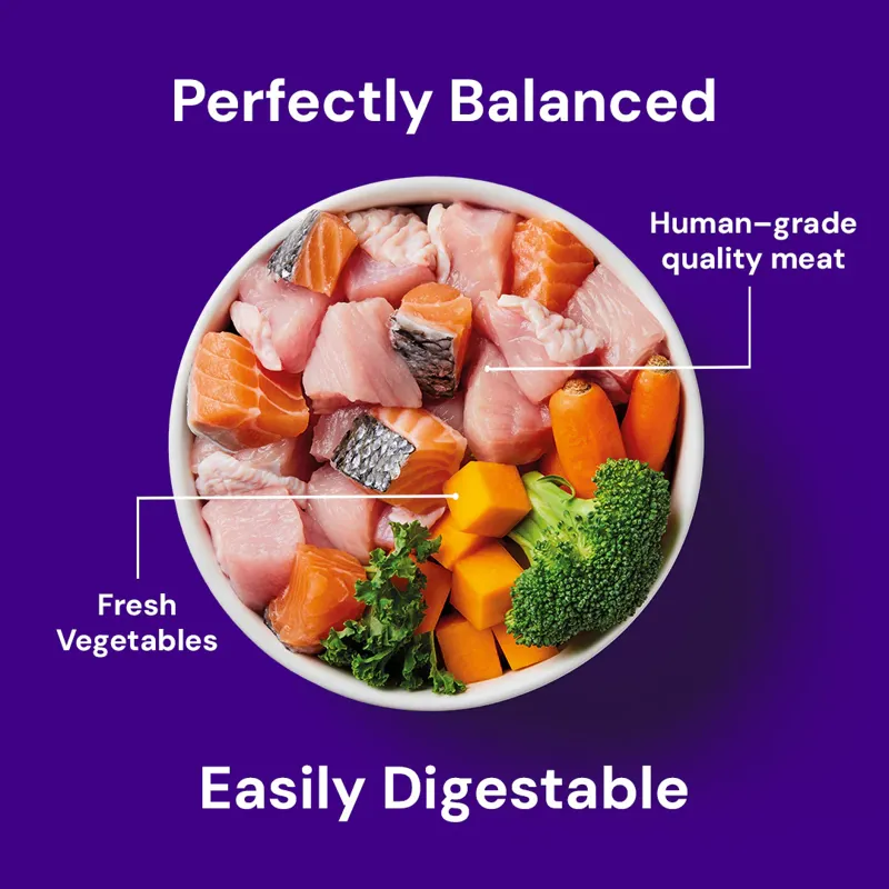Nutriment Salmon and Turkey Raw Food 500g-2