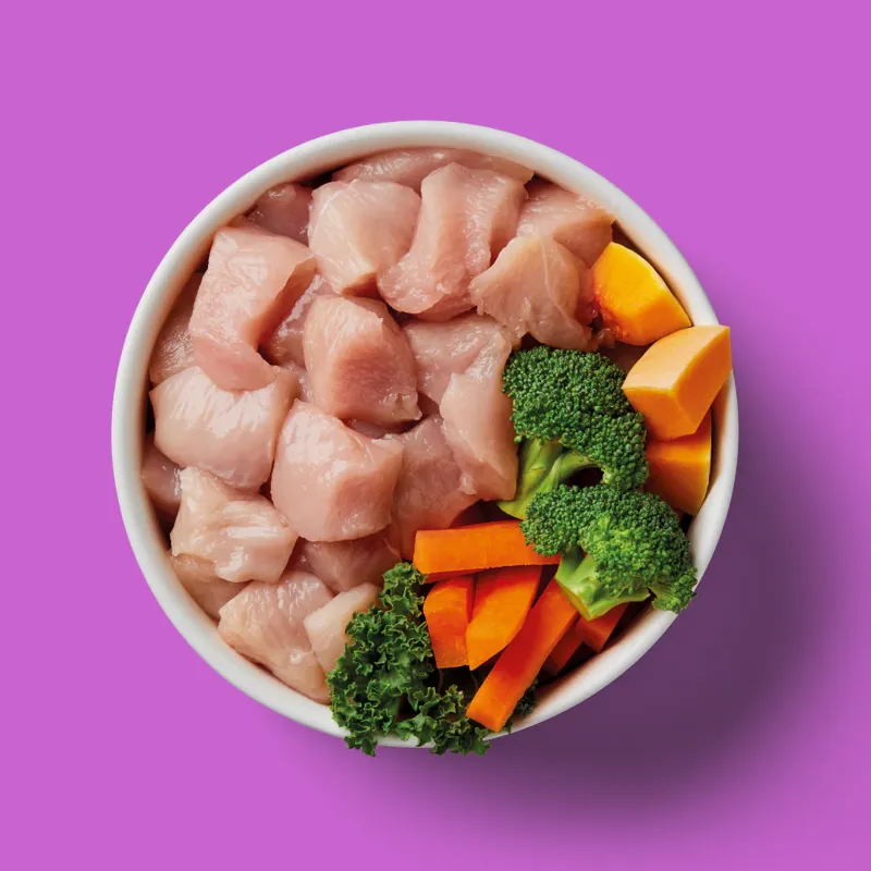 Nutriment Senior Raw Chicken 500g-1