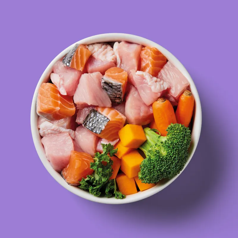 Nutriment Turkey Raw Food 500g-1