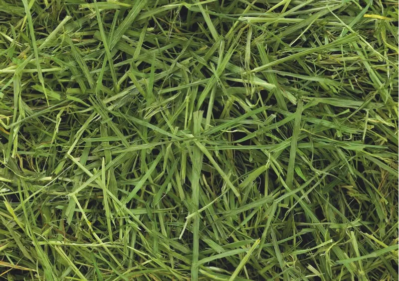 Readigrass 15kg-2