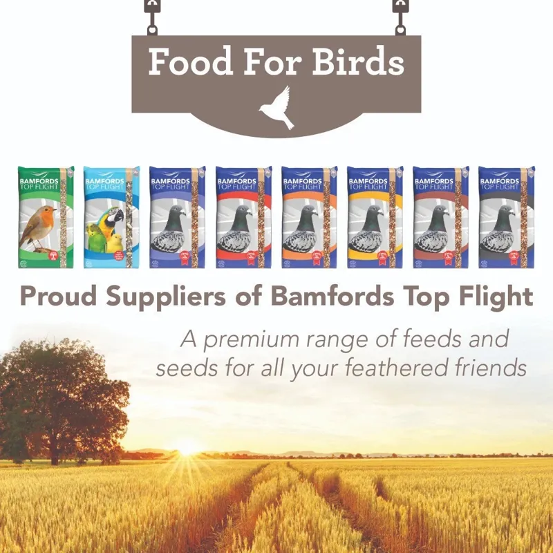 Bamfords Budget Wild Bird Food 20kg Seed Grain Mix-9