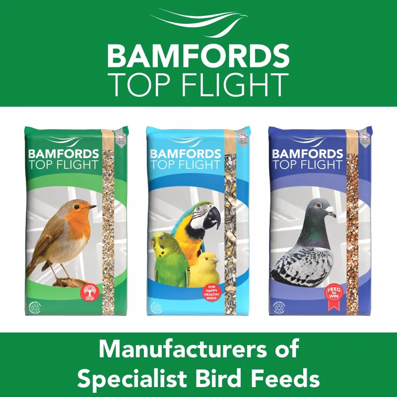 Bamfords Budget Wild Bird Food 20kg Seed Grain Mix-8