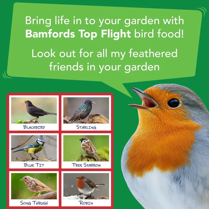 Bamfords Budget Wild Bird Food 20kg Seed Grain Mix-6