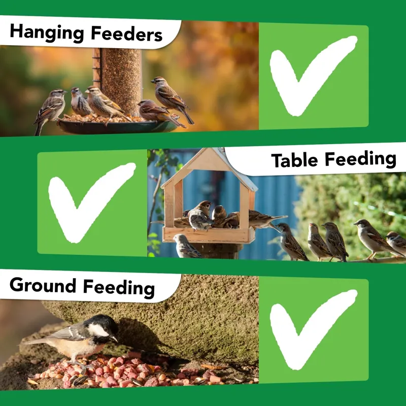 Bamfords Budget Wild Bird Food 20kg Seed Grain Mix-5
