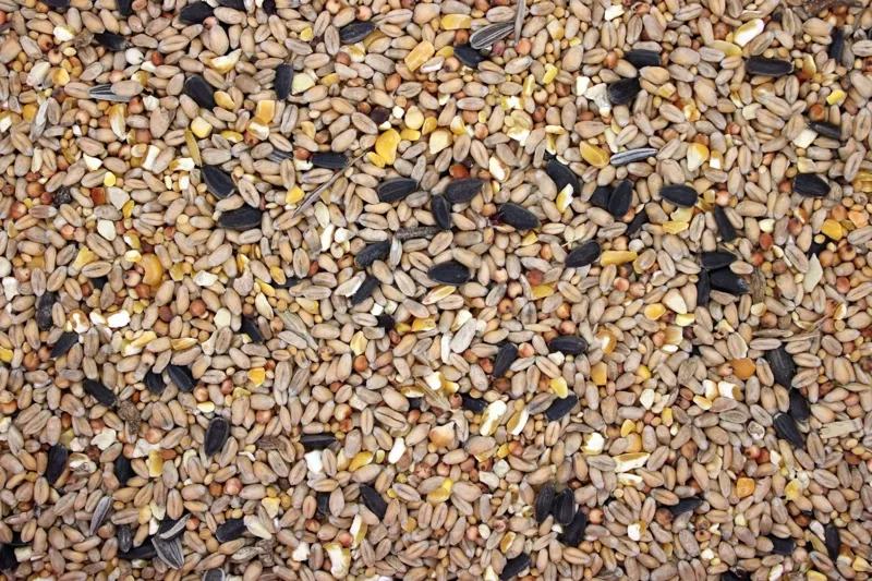 Bamfords Budget Wild Bird Food 20kg Seed Grain Mix-2