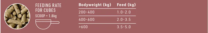 Saracen Super Fibre Cubes 20kg-3