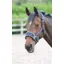 Shires Arma Fleece Lined Lunge Cavesson Cob in Black