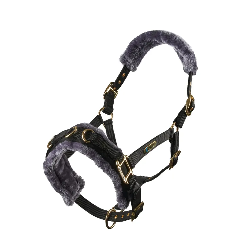 Shires Arma Fleece Lined Lunge Cavesson Cob in Black-1