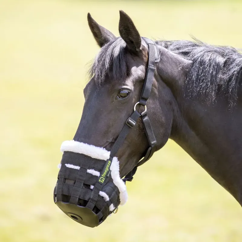 Shires FreeGraze Deluxe Comfort Grazing Muzzle Small Pony in Black-2