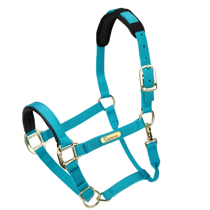 Shires Topaz Nylon Headcollar in Blue