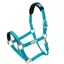 Shires Topaz Nylon Headcollar in Blue