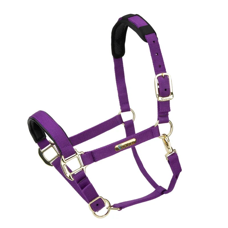 Shires Topaz Nylon Headcollar in Purple