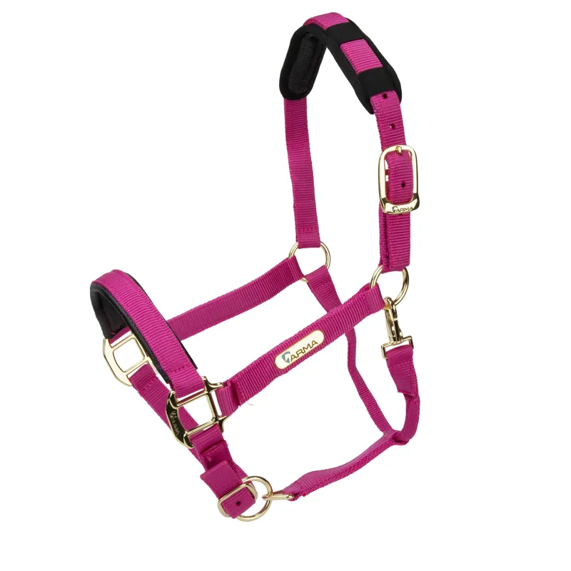 Shires Topaz Nylon Headcollar in Raspberry