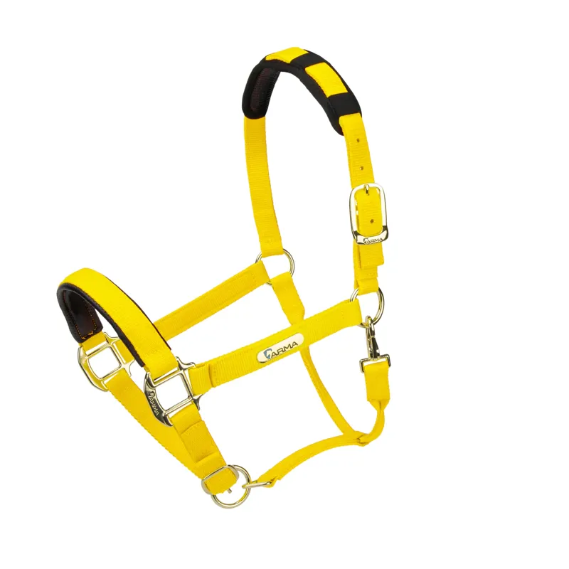 Shires Topaz Nylon Headcollar in Yellow