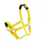 Shires Topaz Nylon Headcollar in Yellow