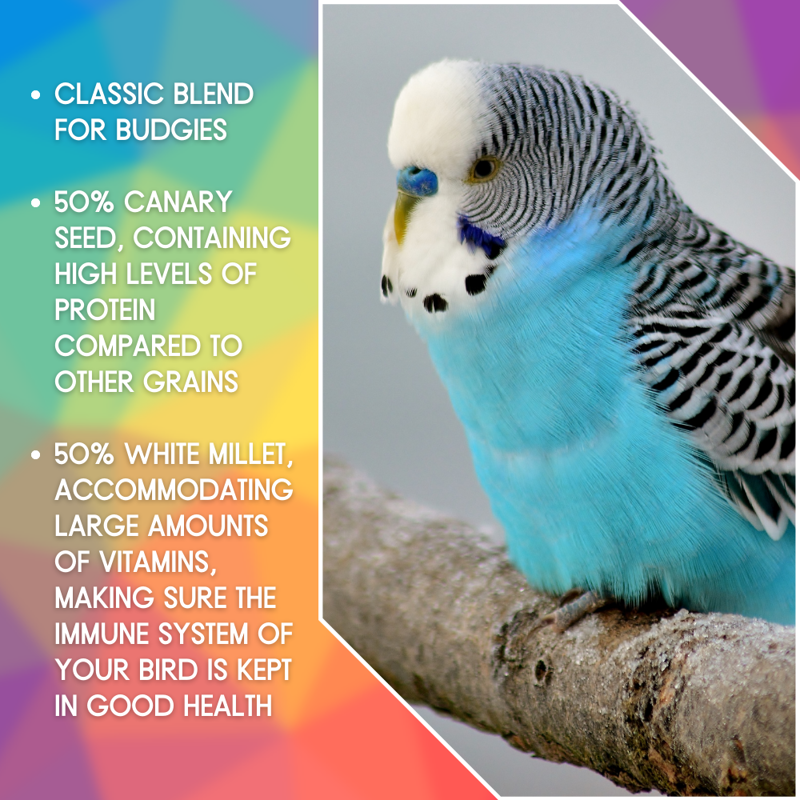 SkyGold Budgie 50/50 Mix 20kg-2