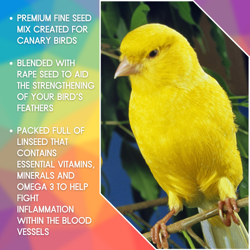 Skygold Gourmet Canary Mix 20kg in Yellow-1