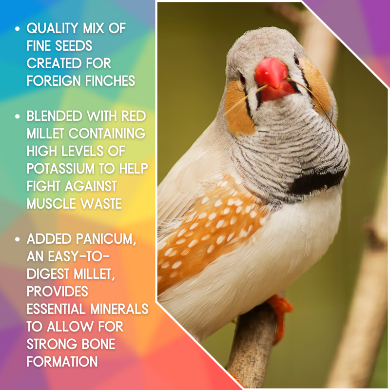Skygold Gourmet Foreign Finch Mix in Gold-1