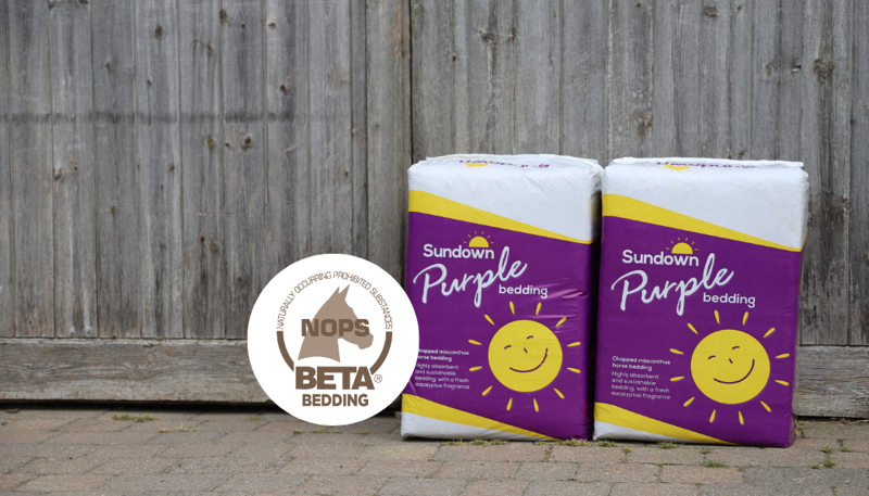 Sundown Bedding 20kg in Sundown Purple-1