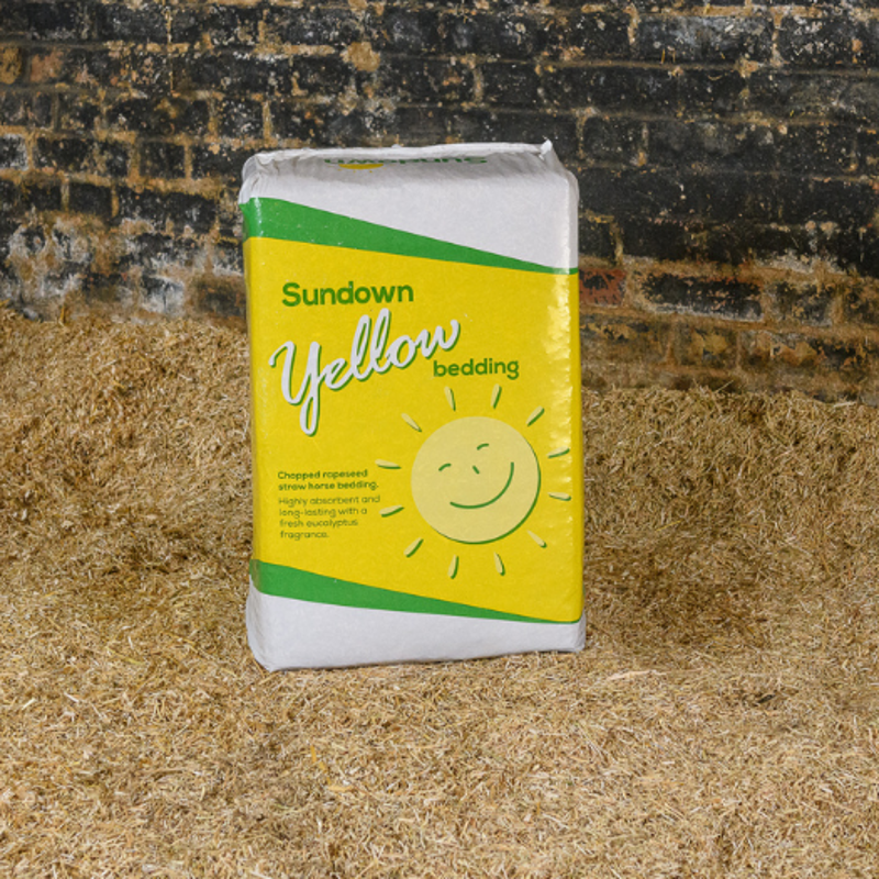 Sundown Rapestraw Bedding 20kg in Sundown Yellow