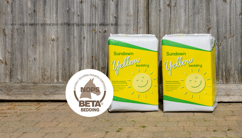 Sundown Rapestraw Bedding 20kg in Sundown Yellow-1