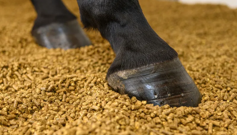 Sunebed Straw Pellets 15kg-2