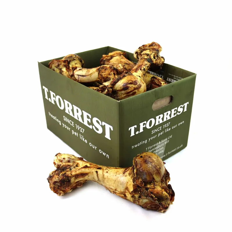 Tj Forrest Roast Whole Dino Bone Jurassic Dog Treat-1