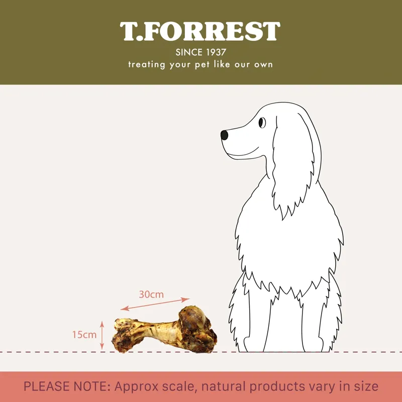 Tj Forrest Roast Whole Dino Bone Jurassic Dog Treat-3