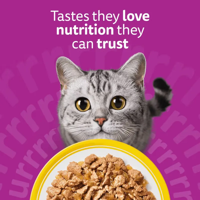 Whiskas 1+ Poultry Feasts Jelly Adult Wet Cat Food Pouch 80x85g-1
