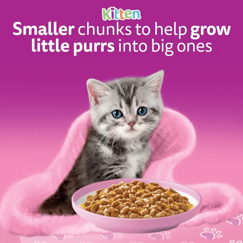 Whiskas Kitten Poultry in Jelly Pouch 12x100g-1